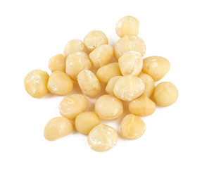 macadamia nut