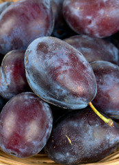 fresh plums