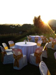 Table wedding outdoor