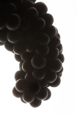 Black grapes on white