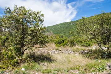 Fototapeta na wymiar Mediterranean Countryside