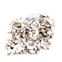 Steinpilze im Gefrierbeutel