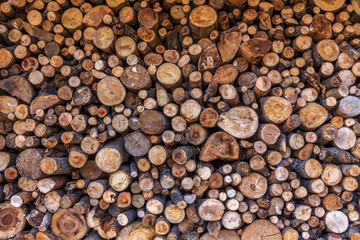 Stack of dried firewood