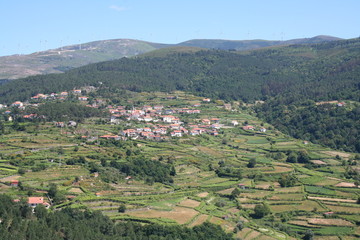 Fototapeta premium virtelo