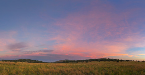 Fototapeta premium Pink Free State Sky