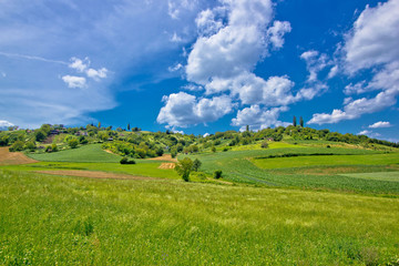 Fototapeta na wymiar Idyllic africultural green landscape of Croatia