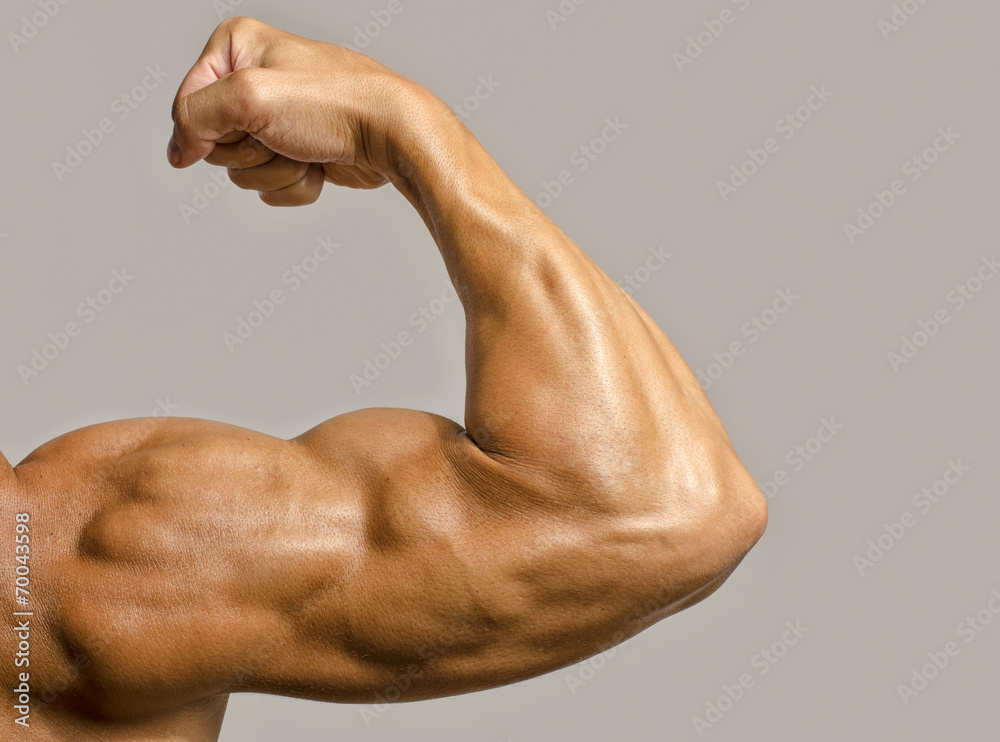 Wall mural Close up on a bodybuilder biceps,shoulder,arm