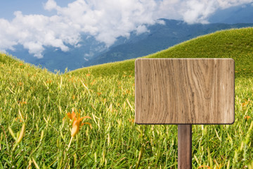 Blank wooden sign