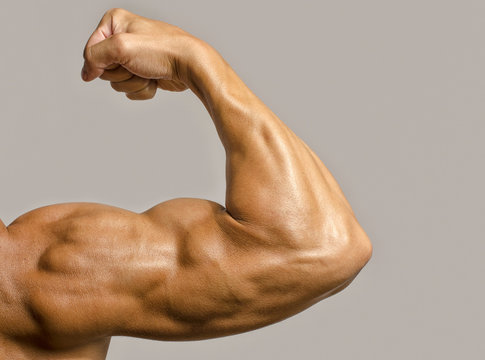 Close up on a bodybuilder biceps,shoulder,arm