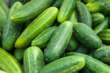 Gurken - cucumbers