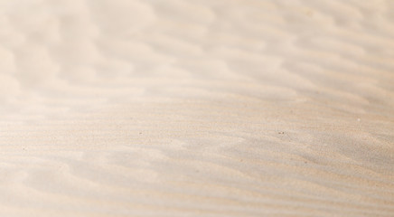 beautiful background of sand in the desert