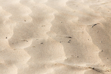 beautiful background of sand in the desert
