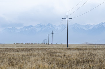 Electrical lines and pillars across the plains of upper Tibet - Powered by Adobe