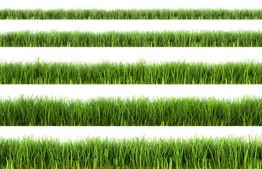 grass