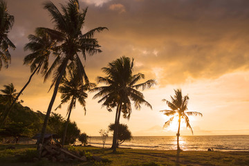 Fototapeta na wymiar Sunset at the seaside - dark silhouettes of palp trees and amazi