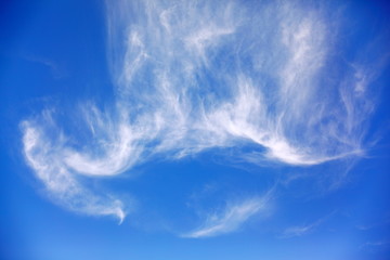 Cloudscape in strange form