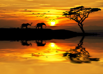 Panele Szklane  zachód słońca w Afryce