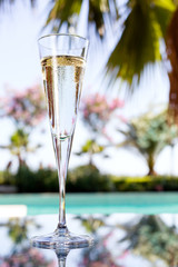 Glass of champagne