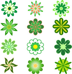 Obraz premium Green Flowers, Flower Vectors