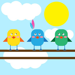 funny birds