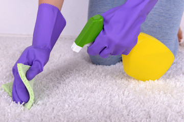 Cleaning carpet with cloth and  sprayer close up