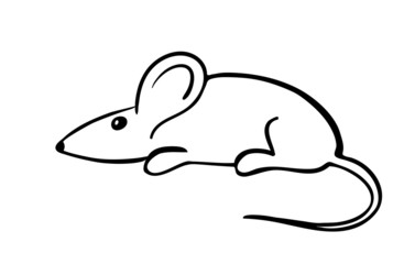 gray mouse, vector illustration