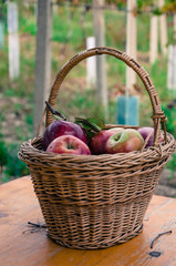 apples in basket