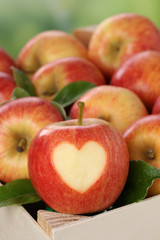 Apfel mit Herz im Korb im Herbst Thema Liebe