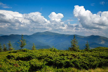 Fototapeta na wymiar Mountain landscape with green plants on a background of blue sky