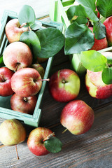 Juicy apples in box, close-up