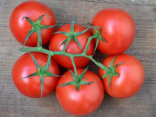 Tomaten auf Holz