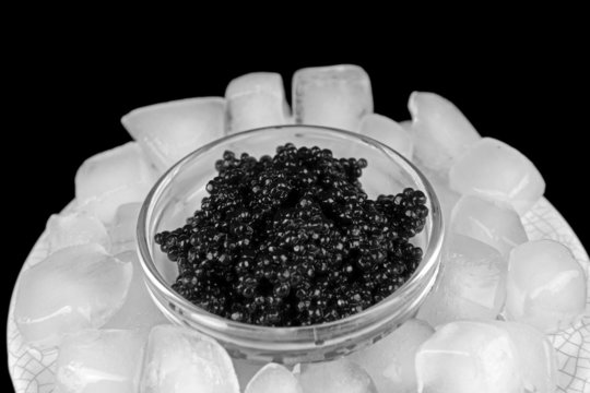 Black caviar in glass bowl and ice in plastic dish