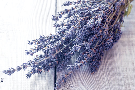 Bunch Of Dried Lavender