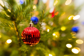 Weihnachtsbaum, Christmas tree