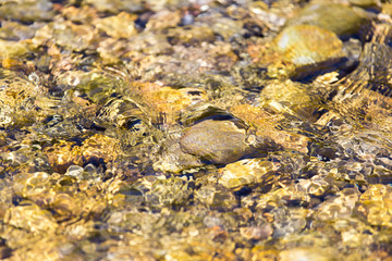 Obraz na płótnie Canvas Stones in water Nature