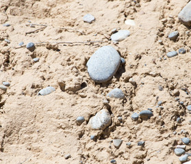 stones in the soil
