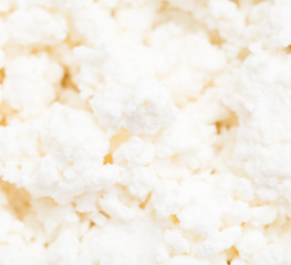 white curd as background. macro