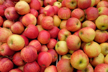 pommes