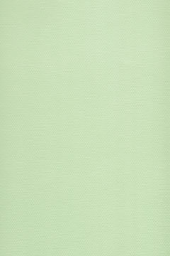 Pastel Paper Light Lime Green Coarse Grunge Texture
