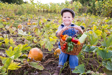 Fototapeta premium Kid on field with basket of vegetables