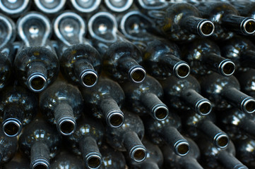 Rows of many empty wine bottles in winery cellar