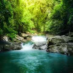 Foto op Canvas Beautiful waterfall in forest © stnazkul