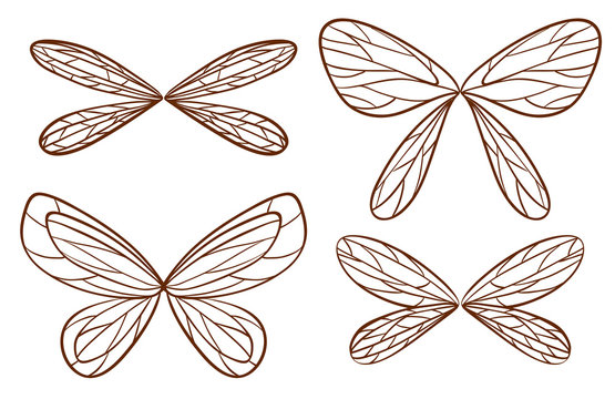 Simple sketches of fairy wings