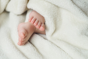 Baby Feet under blanket