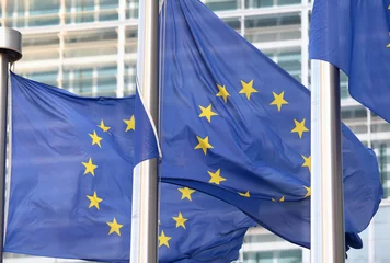 Deken met patroon Brussel flags in front of the European  commission on Brussels.