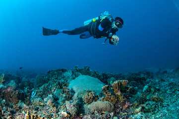 Naklejka na ściany i meble Diver, coral reefs, Gili, Lombok, Nusa Tenggara Barat underwater