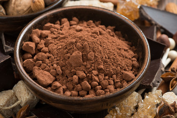 cocoa, sugar and spices for hot chocolate, close-up