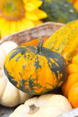 seasonal pumpkins in a wooden tray, close-up, selective focus