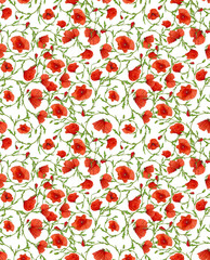 small poppy flower ornamental seamless background