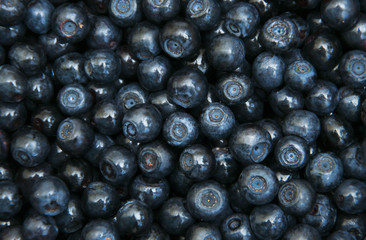 Blueberries
